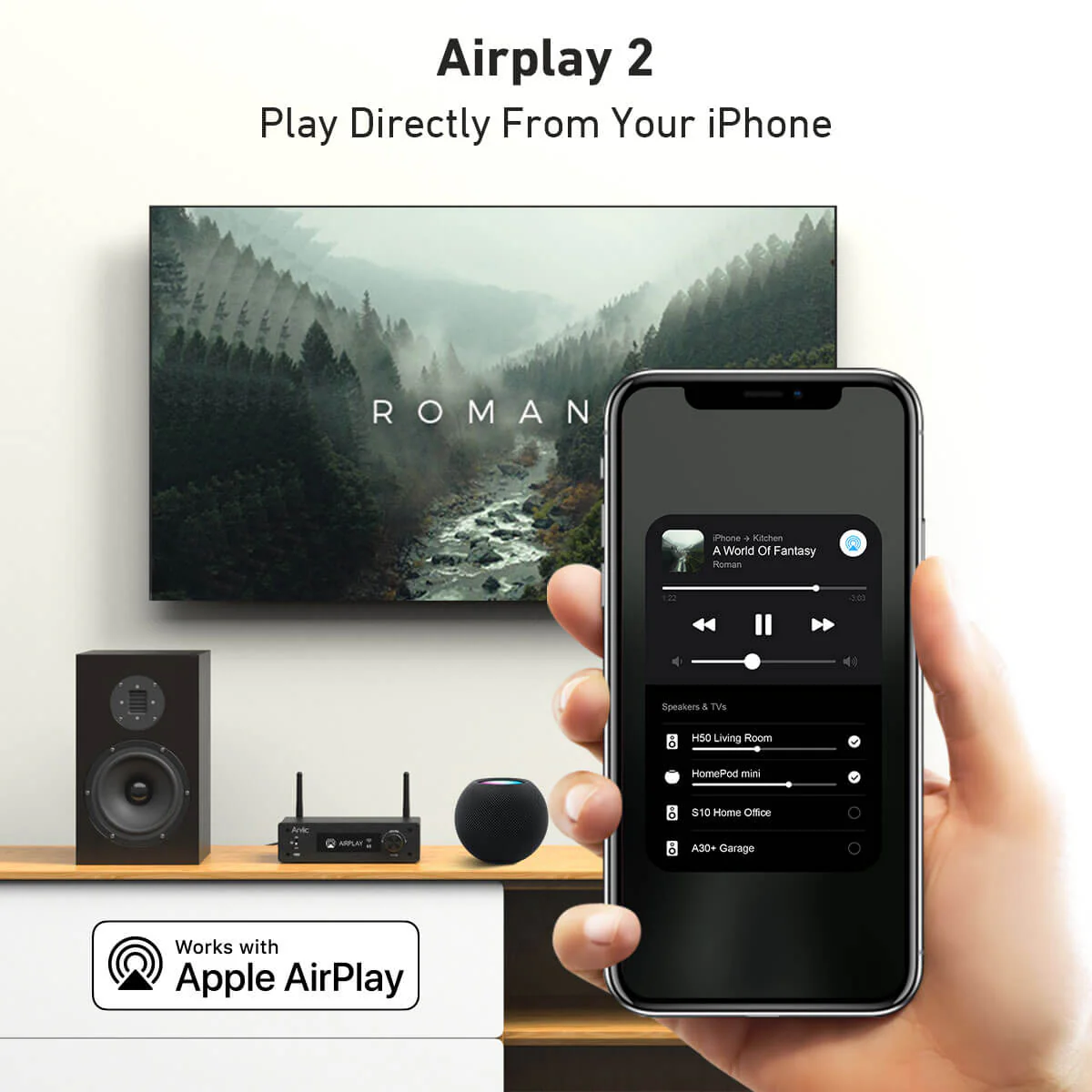 H50 Wireless Stereo Amplifier - Image 4