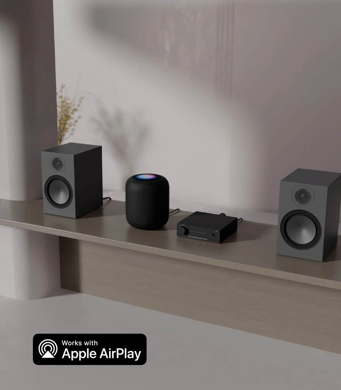 LA50 Streaming Amplifier - Image 6